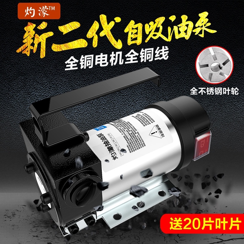 Diesel Oil Pump 12v24v Oil Pumping Pump Small pick up battery 220V electric metering pump self-suction oil pump pound tanker
