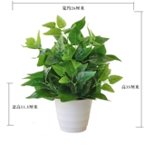 Моделирование зеленый ткацкий ткацкий ткац