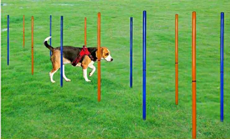 Soft ground grass plug-in pet dog Agile rod dog training equipment single rod high-spring ring round pile cross-column