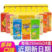 Master Kong Iced Black Tea 250mlx12 boxes Lemon Flavored Rock sugar Sydney iced Green Tea drink Summer refreshing juice