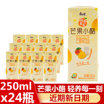 Master Kong Mango Cheese 250ml*24 boxed drinks Mango flavored drinks Catering Summer refreshing drinks Drinks