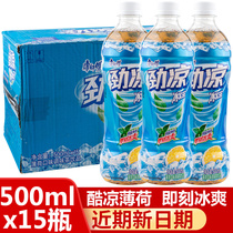 Master Kang ice black tea strong cool mint flavor 500ml*15 bottles FCL beverage wholesale catering juice summer drink