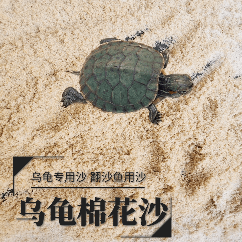 Tortoise hibernation supplies Tortoise hibernation sand Tortoise sand Special hibernation tortoise winter sand fish tank bottom sand