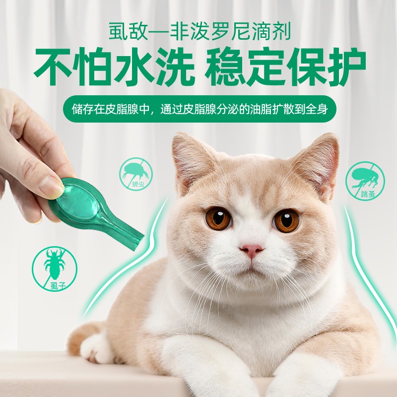 Small Favorites non-prednisone kittens in vitro Insect Repellent for Pet Kittens External flea medicine lice Lice Wall Lice