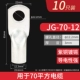 JG70-12 10 шт.