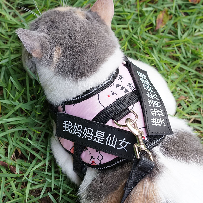 Kitty Traction Rope Walking Cat Rope Anti-Escape Out of the Cat Rope Vest Style Cat Chain Dog Chain Dog Neckline cat Cat God