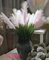 A large bunch of simulation reed grass dog tail dried flowers fake flowers wedding flowers living room free mail green plants floor decoration ornaments