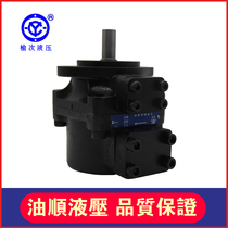 Elm hydraulic Atos vane pump PFE-51090 51110 51129 51150-1DT