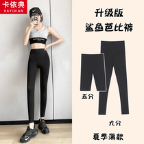 Caydian Yoga Shark Pants High Waist Lifting Hip Fitness Summer Honey Peach Hip Sport Long Pants Elastic Beating Bottom Skintight Pants