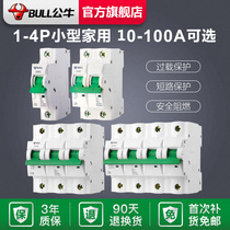 Bull Circuit Breaker Air Switch Home Empty electric gate leakage protection 1P16A2P32A63A3P4P100A