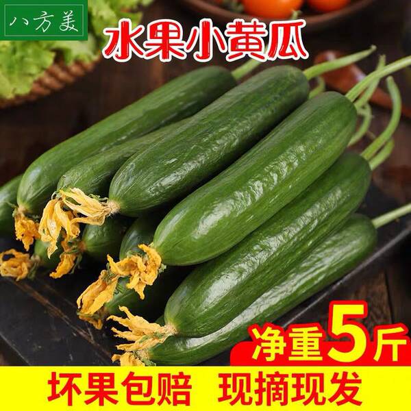 八方美 山东寿光 新鲜水果小黄瓜 净重5斤 天猫优惠券折后¥16.8包邮(¥21.8-5) 八方美 山东寿光 新鲜水果小黄瓜 净重5斤 天猫优惠券折后¥16.8包邮(¥21.8-5)