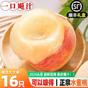 [无锡阳山水蜜桃礼盒当季阳新鲜水果整箱白凤湖景孕妇软桃子旗舰店]