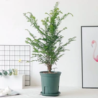 Ветряной бассейн высотой 50-60 см.