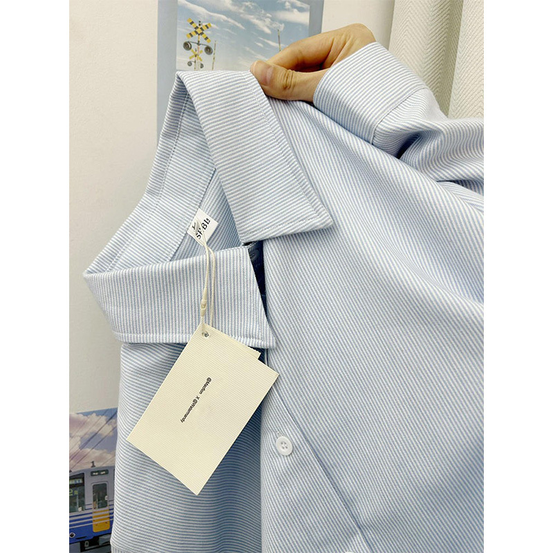 Korean Style Literary and Artistic Fresh Blue Striped Shirt for Women, Spring and Autumn 2025 New Design, Niche Long-Sleeved Shirt