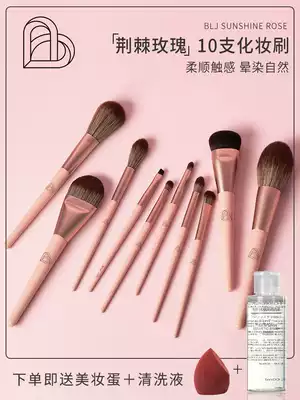 blj Portable Affordable premium eye makeup brush set loose powder foundation eye shadow repair blush full set brush