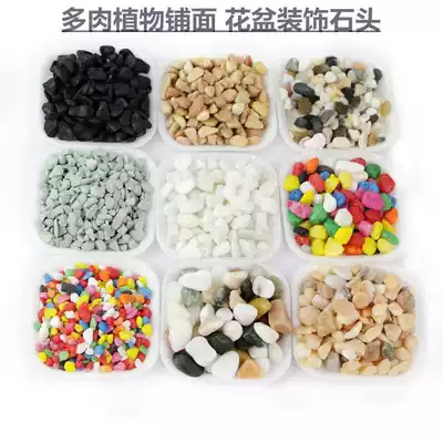 Flower granules household White Stone Sandstone small stone colorful turtle Pebble flower cylinder color stone head