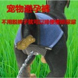 Профилактика менструальных преследования Физиологические штаны Санигитарные эстральные салфетки, собаки, собаки и собаки, физиологические брюки, признание, нормальное