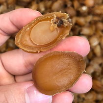 250g about 50 dry boatfish thick meat fresh saucepan porridge sea products dry stock Buddha jumping wall ingredients 100 heads