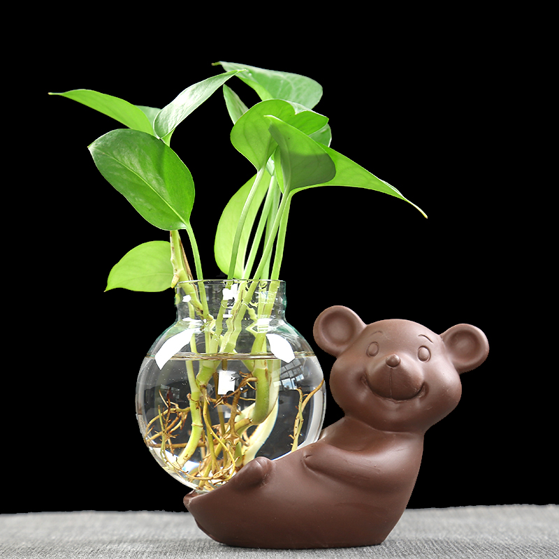 Other creative young monk pig home furnishing articles tea flower vases, ceramic containers hydroponic flower pot