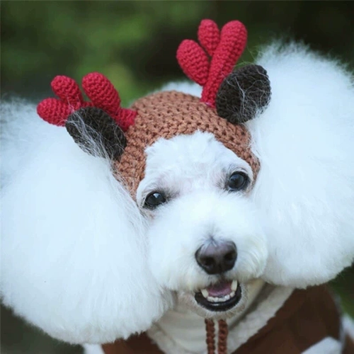 Семья Бао Семейство Unpeat Кот и собака Pure Cotton Cute Peach Festival Hat Pure Hand -Fail Christmas Pet Clothing