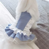 KZ Cardamom Fog Mai Blue Spring и летняя одежда для любимой собаки