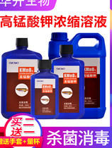 Fish Tank Aquarium Plants dedicated potassium permanganate disinfectant gao meng potassium concentrate tank disinfection solution