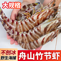 (Shunfeng Air) Zhoushan Jiujie Shrimp Based Shrimp Based Shrimp Seafood Fresh-frozen Spotted Shrimp Bamboo Festival Shrimp Black Tiger Shrimp