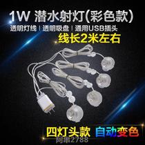 Fish tank light LED light battery spot light warm light light fish light water Family set