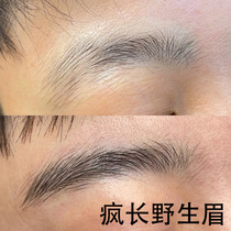 Store length Recommended brow nutrient solution with wild brow Farewell painting eyebrow mens eyebrows grow crazy and buy two and send one