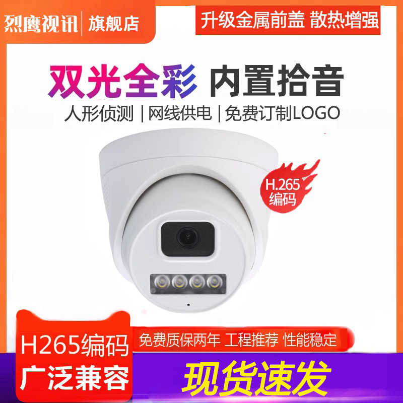 Hemispheric Network Camera Poe High-Definition Infrared Full-Color Surveillance Indoor Audio Wide-Angle Elevator Hikvision Protocol