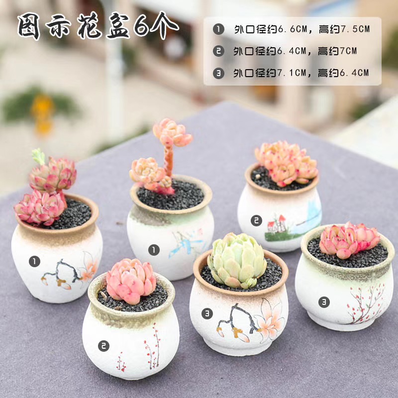 Fleshy flowerpot ceramic package mail special offer a clearance of creative move plant coarse pottery indoor flower pot in restoring ancient ways of large diameter