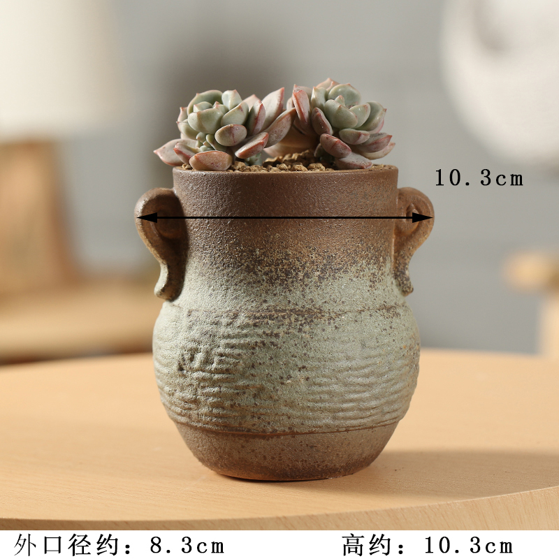 End breathable retro coarse pottery special offer a clearance classical fleshy flowerpot ceramic platter of large diameter indoor old piles