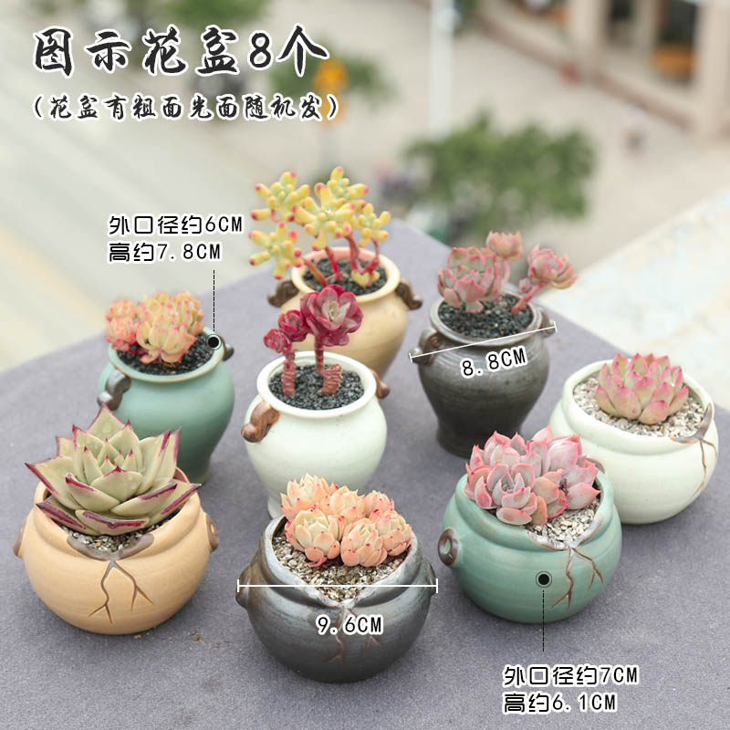 Fleshy flowerpot ceramic package mail special offer a clearance of creative move plant coarse pottery indoor flower pot in restoring ancient ways of large diameter