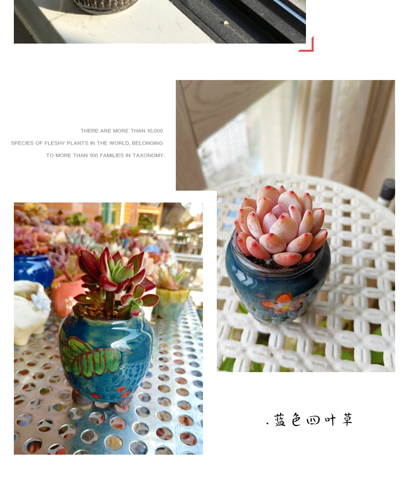 Fleshy flowerpot ceramic package mail special offer a clearance of creative move plant coarse pottery indoor flower pot in restoring ancient ways of large diameter