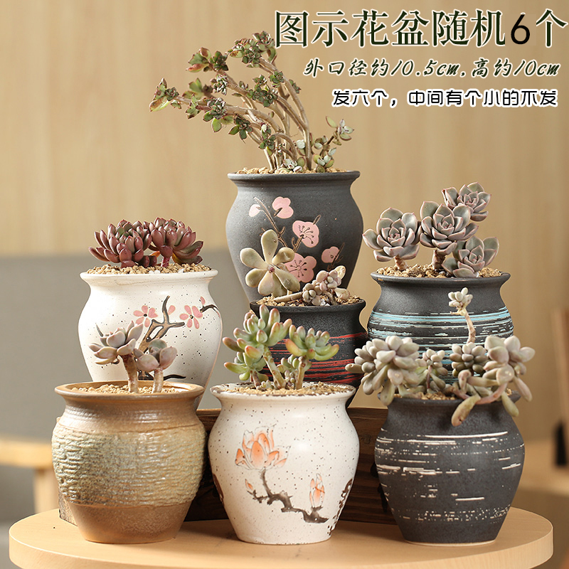 End of Korean fleshy flowerpot pinch flower coloured drawing or pattern of large diameter individuality creative contracted flower pot in ceramic breathable restoring ancient ways