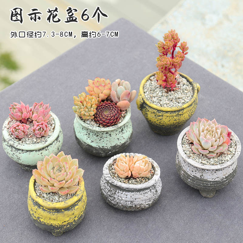 End flowerpot ceramic sale indoor the plants, fleshy meat meat clearance diameter platter small flower pot in coarse pottery