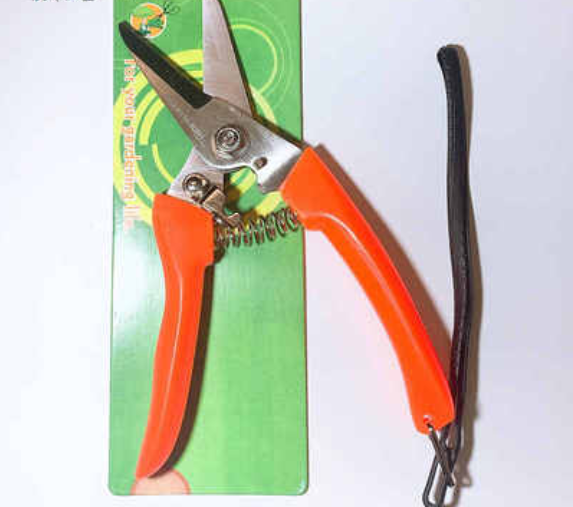 New Taiwan I702 imported scissors imported electrical trunking tiger scissors tiger head trunking shear garden