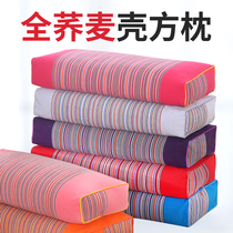 Full buckwheat leather pillow filled single adult dormitory home neck pillow male summer pillow single hard pillow