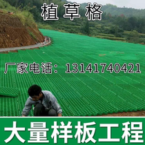 Hunan grass planting grid plastic lawn grid parking lot fire passage grass planting brick slope protection landscaping