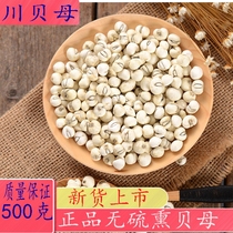 Fritillaria 500g Sichuan farmhouse Self-prolific Sichuan Fritillaria Chinese Herbal Medicine non-wild sulphur-free Sichuan Becan powder