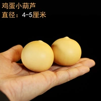 Выбранная тыква яиц один на 4-5 см