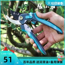 Zhang Xiaoquan pruning scissors sk5 powerful artifact Garden floral scissors pruning scissors plants household fruit trees save effort