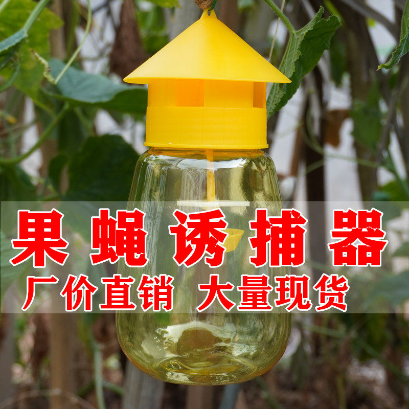 Fruit Fly Trap Orchard Vegetable Ground Melon Fruits Real Fly Needle Bee Melon Fly Attractant With Catcher Trap