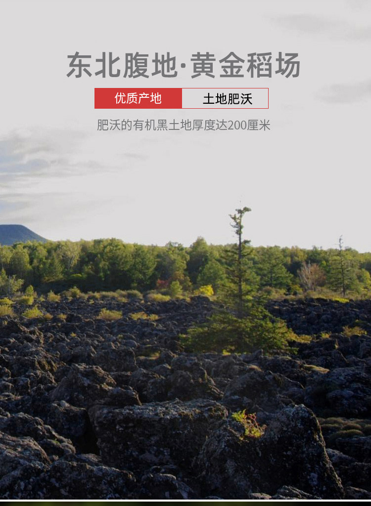 安享好物 安享A级粳米-谷味来长粒香米 国标 