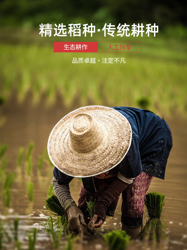 安享好物 安享A级粳米-谷味来长粒香米 国标 