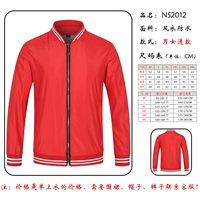 NS2012-красный