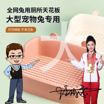 Extra large toilet special toilet for large pet rabbits toilet for angora rabbits and lop-eared rabbits uncle’s little pet