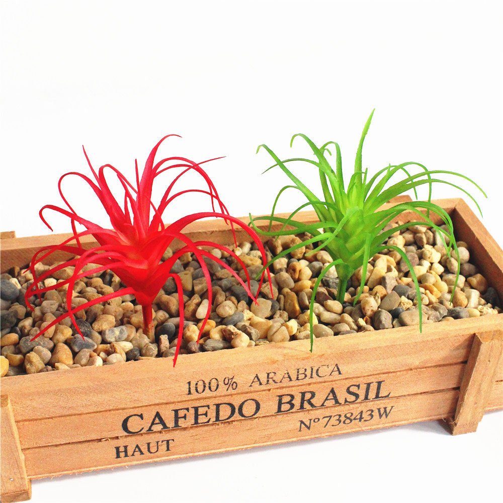 IMG_0751_D COPY .JPG