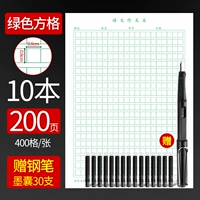 10 зеленых квадратов+1 ручка+30 чернильных мешков
