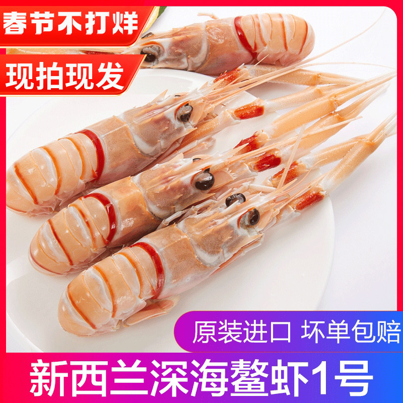 New Zealand imports the Antarctic Deep Sea, the suampi 1, super-shrimp is 10 kg large